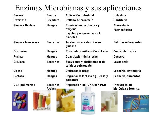 enzimas y proteinas de interes industrial enzimas y proteinas de interes industrial