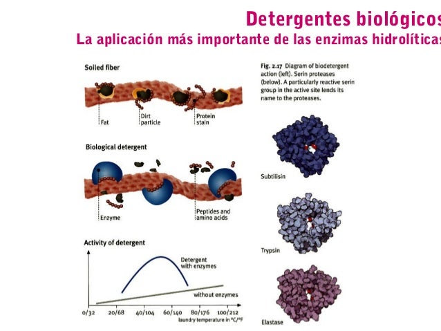 Las manchas de pigmento en el cuerpo las manchas blancas como librarse