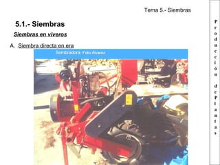 Tema 5.- Siembras

5.1.- Siembras
Siembras en viveros
A. Siembra directa en era

P
r
o
d
u
c
c
i
ó
n
d
e
P
l
a
n
t
a
s

 