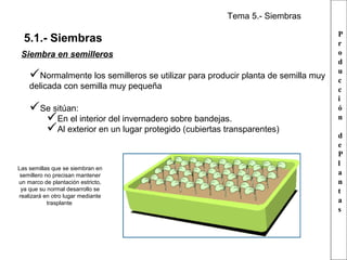 Tema 5.- Siembras

5.1.- Siembras
Siembra en semilleros

Normalmente los semilleros se utilizar para producir planta de semilla muy
delicada con semilla muy pequeña

Se sitúan:
En el interior del invernadero sobre bandejas.
Al exterior en un lugar protegido (cubiertas transparentes)
Las semillas que se siembran en
semillero no precisan mantener
un marco de plantación estricto,
ya que su normal desarrollo se
realizará en otro lugar mediante
trasplante

P
r
o
d
u
c
c
i
ó
n
d
e
P
l
a
n
t
a
s

 