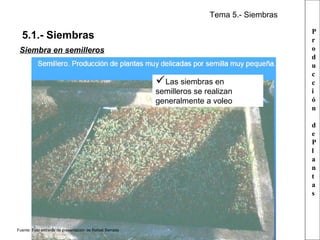 Tema 5.- Siembras

5.1.- Siembras
Siembra en semilleros

Las siembras en

semilleros se realizan
generalmente a voleo

P
r
o
d
u
c
c
i
ó
n
d
e
P
l
a
n
t
a
s

Fuente: Foto extraída de presentación de Rafael Serrada

 