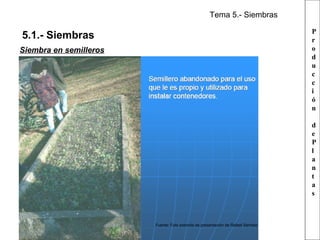 Tema 5.- Siembras
P
r
o
d
u
c
c
i
ó
n

5.1.- Siembras
Siembra en semilleros

d
e
P
l
a
n
t
a
s

Fuente: Foto extraída de presentación de Rafael Serrada

 