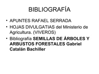 BIBLIOGRAFÍA
• APUNTES RAFAEL SERRADA
• HOJAS DIVULGATIAS del Ministerio de
Agricultura. (VIVEROS)
• Bibliografía SEMILLAS DE ÁRBOLES Y
ARBUSTOS FORESTALES Gabriel
Catalán Bachiller

 
