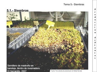 Tema 5.- Siembras
P
r
o
d
u
c
c
i
ó
n

5.1.- Siembras

d
e
P
l
a
n
t
a
s

Fuente: Foto extraída de presentación de Rafael Serrada

 