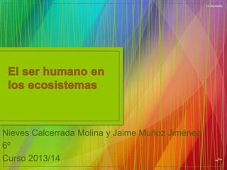 Nieves Calcerrada Molina y Jaime Muñoz Jiménez
6º
Curso 2013/14

 