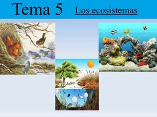 Tema 5

Los ecosistemas

 
