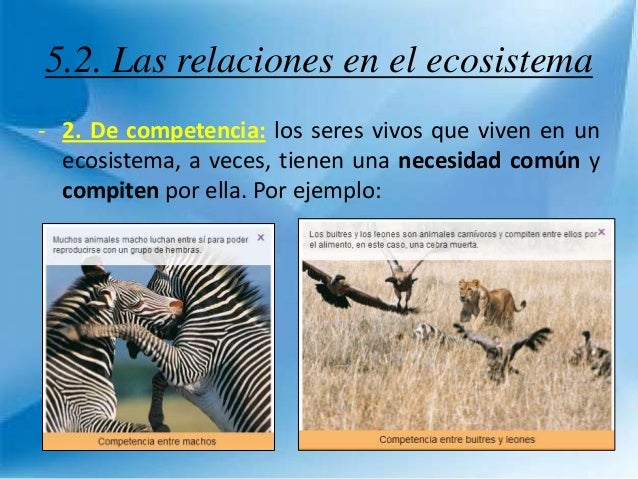 Tema 5: Los ecosistemas.
