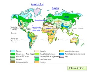 Desierto frío
Tundra
Taiga
Bosque caducifolio
b.
mediterráneo
desierto
sabana
b. tropical
Estepa árida
Volver a índice
 