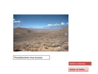 Precipitaciones muy escasas
Volver a biomas
Volver al índice
 