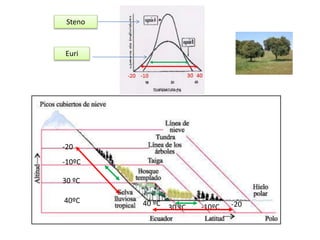 30 ºC
-10ºC
30 ºC -10ºC
-20
40ºC 40 ºC -20
Steno
Euri
 