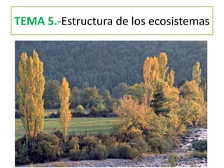 TEMA 5.-Estructura de los ecosistemas
 