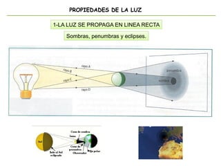 PROPIEDADES DE LA LUZ
1-LA LUZ SE PROPAGA EN LINEA RECTA
Sombras, penumbras y eclipses.
Foco de luz lejos del objeto genera
una sombra nítida.
 