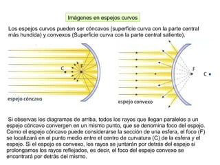 Los espejos curvos pueden ser cóncavos (superficie curva con la parte central
más hundida) y convexos (Superficie curva con la parte central saliente).
Imágenes en espejos curvos
Si observas los diagramas de arriba, todos los rayos que llegan paralelos a un
espejo cóncavo convergen en un mismo punto, que se denomina foco del espejo.
Como el espejo cóncavo puede considerarse la sección de una esfera, el foco (F)
se localizará en el punto medio entre el centro de curvatura (C) de la esfera y el
espejo. Si el espejo es convexo, los rayos se juntarán por detrás del espejo si
prolongamos los rayos reflejados, es decir, el foco del espejo convexo se
encontrará por detrás del mismo.
 