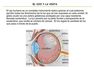 EL OJO Y LA VISTA
El ojo humano es un complejo instrumento óptico gracias al cual podemos
percibir todos los fenómenos de la luz que se han expuesto en esta unidad. El
globo ocular es una esfera gelatinosa protegida por una capa resistente
llamada esclerótica . La luz penetra por la parte frontal y transparente de la
esclerótica, que recibe el nombre de córnea . El iris regula la cantidad de luz
que pasa a través de la pupila .
 
