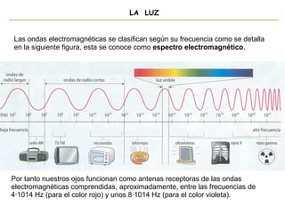 LA LUZ
Las ondas electromagnéticas se clasifican según su frecuencia como se detalla
en la siguiente figura, esta se conoce como espectro electromagnético.
Por tanto nuestros ojos funcionan como antenas receptoras de las ondas
electromagnéticas comprendidas, aproximadamente, entre las frecuencias de
4·1014 Hz (para el color rojo) y unos 8·1014 Hz (para el color violeta).
 