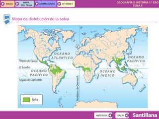 GEOGRAFÍA E HISTORIA 1.º ESO
TEMA 5
INICIOINICIO
MAPA
DEL TEMA
MAPA
DEL TEMA
ANIMACIONESANIMACIONES INTERNETINTERNET
Mapa de distribución de la selva
SALIRSALIRANTERIORANTERIOR
 
