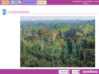 GEOGRAFÍA E HISTORIA 1.º ESO
TEMA 5
INICIOINICIO
MAPA
DEL TEMA
MAPA
DEL TEMA
ANIMACIONESANIMACIONES INTERNETINTERNET
La selva amazónica
SALIRSALIRANTERIORANTERIOR
 