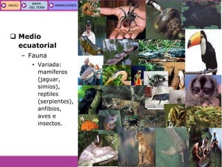 GEOGRAFÍA E HISTORIA 1.º ESO
TEMA 5
INICIOINICIO
MAPA
DEL TEMA
MAPA
DEL TEMA
ANIMACIONESANIMACIONES INTERNETINTERNET
 Medio
ecuatorial
– Fauna
• Variada:
mamíferos
(jaguar,
simios),
reptiles
(serpientes),
anfibios,
aves e
insectos.
 