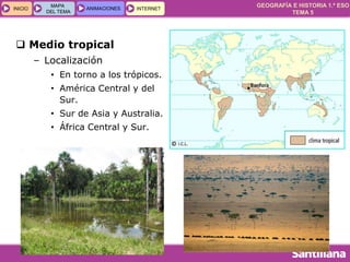 GEOGRAFÍA E HISTORIA 1.º ESO
TEMA 5
INICIOINICIO
MAPA
DEL TEMA
MAPA
DEL TEMA
ANIMACIONESANIMACIONES INTERNETINTERNET
 Medio tropical
– Localización
• En torno a los trópicos.
• América Central y del
Sur.
• Sur de Asia y Australia.
• África Central y Sur.
 