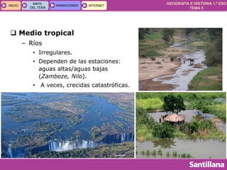 GEOGRAFÍA E HISTORIA 1.º ESO
TEMA 5
INICIOINICIO
MAPA
DEL TEMA
MAPA
DEL TEMA
ANIMACIONESANIMACIONES INTERNETINTERNET
 Medio tropical
– Ríos
• Irregulares.
• Dependen de las estaciones:
aguas altas/aguas bajas
(Zambeze, Nilo).
• A veces, crecidas catastróficas.
 