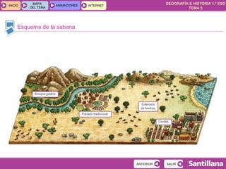 GEOGRAFÍA E HISTORIA 1.º ESO
TEMA 5
INICIOINICIO
MAPA
DEL TEMA
MAPA
DEL TEMA
ANIMACIONESANIMACIONES INTERNETINTERNET
Esquema de la sabana
SALIRSALIRANTERIORANTERIOR
 
