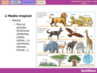 GEOGRAFÍA E HISTORIA 1.º ESO
TEMA 5
INICIOINICIO
MAPA
DEL TEMA
MAPA
DEL TEMA
ANIMACIONESANIMACIONES INTERNETINTERNET
 Medio tropical
– Fauna
• Rica en
grandes
herbívoros
(elefantes,
jirafas,
cebras…) y
carnívoros
(leones,
hienas...).
 