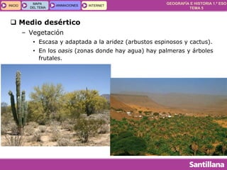 GEOGRAFÍA E HISTORIA 1.º ESO
TEMA 5
INICIOINICIO
MAPA
DEL TEMA
MAPA
DEL TEMA
ANIMACIONESANIMACIONES INTERNETINTERNET
 Medio desértico
– Vegetación
• Escasa y adaptada a la aridez (arbustos espinosos y cactus).
• En los oasis (zonas donde hay agua) hay palmeras y árboles
frutales.
 