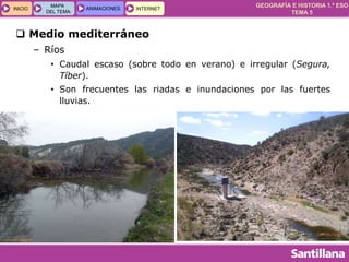 GEOGRAFÍA E HISTORIA 1.º ESO
TEMA 5
INICIOINICIO
MAPA
DEL TEMA
MAPA
DEL TEMA
ANIMACIONESANIMACIONES INTERNETINTERNET
 Medio mediterráneo
– Ríos
• Caudal escaso (sobre todo en verano) e irregular (Segura,
Tíber).
• Son frecuentes las riadas e inundaciones por las fuertes
lluvias.
 