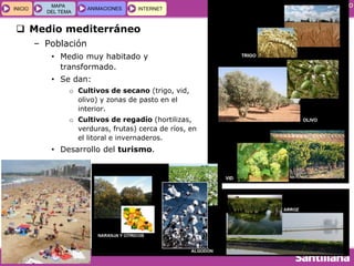 GEOGRAFÍA E HISTORIA 1.º ESO
TEMA 5
INICIOINICIO
MAPA
DEL TEMA
MAPA
DEL TEMA
ANIMACIONESANIMACIONES INTERNETINTERNET
 Medio mediterráneo
– Población
• Medio muy habitado y
transformado.
• Se dan:
o Cultivos de secano (trigo, vid,
olivo) y zonas de pasto en el
interior.
o Cultivos de regadío (hortilizas,
verduras, frutas) cerca de ríos, en
el litoral e invernaderos.
• Desarrollo del turismo.
 