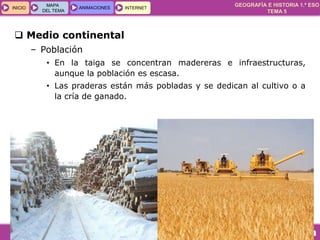 GEOGRAFÍA E HISTORIA 1.º ESO
TEMA 5
INICIOINICIO
MAPA
DEL TEMA
MAPA
DEL TEMA
ANIMACIONESANIMACIONES INTERNETINTERNET
 Medio continental
– Población
• En la taiga se concentran madereras e infraestructuras,
aunque la población es escasa.
• Las praderas están más pobladas y se dedican al cultivo o a
la cría de ganado.
 