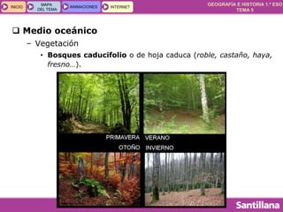 GEOGRAFÍA E HISTORIA 1.º ESO
TEMA 5
INICIOINICIO
MAPA
DEL TEMA
MAPA
DEL TEMA
ANIMACIONESANIMACIONES INTERNETINTERNET
 Medio oceánico
– Vegetación
• Bosques caducifolio o de hoja caduca (roble, castaño, haya,
fresno…).
 