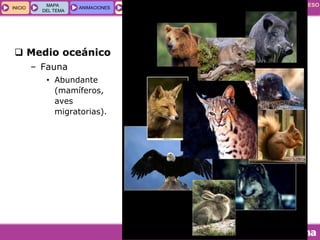 GEOGRAFÍA E HISTORIA 1.º ESO
TEMA 5
INICIOINICIO
MAPA
DEL TEMA
MAPA
DEL TEMA
ANIMACIONESANIMACIONES INTERNETINTERNET
 Medio oceánico
– Fauna
• Abundante
(mamíferos,
aves
migratorias).
 