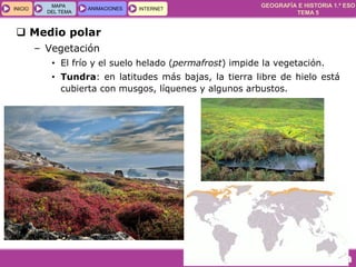 GEOGRAFÍA E HISTORIA 1.º ESO
TEMA 5
INICIOINICIO
MAPA
DEL TEMA
MAPA
DEL TEMA
ANIMACIONESANIMACIONES INTERNETINTERNET
 Medio polar
– Vegetación
• El frío y el suelo helado (permafrost) impide la vegetación.
• Tundra: en latitudes más bajas, la tierra libre de hielo está
cubierta con musgos, líquenes y algunos arbustos.
 