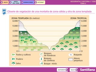 GEOGRAFÍA E HISTORIA 1.º ESO
TEMA 5
INICIOINICIO
MAPA
DEL TEMA
MAPA
DEL TEMA
ANIMACIONESANIMACIONES INTERNETINTERNET
Cliserie de vegetación de una montaña de zona cálida y otra de zona templada
SALIRSALIRANTERIORANTERIOR
 