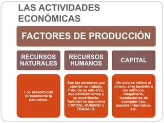 LAS ACTIVIDADES
ECONÓMICAS
FACTORES DE PRODUCCIÓN
RECURSOS
NATURALES
Los proporciona
directamente la
naturaleza.
RECURSOS
HUMANOS
Son las personas que
aportan su trabajo,
fruto de su esfuerzo,
sus conocimientos y
su experiencia.
También se denomina
CAPITAL HUMANO o
TRABAJO.
CAPITAL
No solo se refiere al
dinero, sino también a
los edificios,
maquinaria,
instalaciones de
cualquier tipo,
soporte informático,
etc.
 