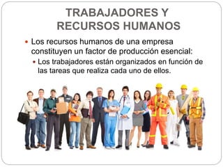 TRABAJADORES Y
RECURSOS HUMANOS
 Los recursos humanos de una empresa
constituyen un factor de producción esencial:
 Los trabajadores están organizados en función de
las tareas que realiza cada uno de ellos.
 