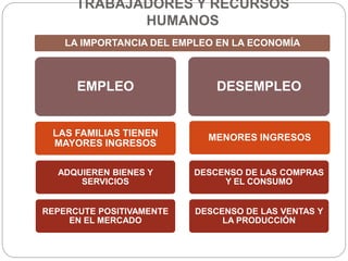 TRABAJADORES Y RECURSOS
HUMANOS
LA IMPORTANCIA DEL EMPLEO EN LA ECONOMÍA
EMPLEO
LAS FAMILIAS TIENEN
MAYORES INGRESOS
ADQUIEREN BIENES Y
SERVICIOS
REPERCUTE POSITIVAMENTE
EN EL MERCADO
DESEMPLEO
MENORES INGRESOS
DESCENSO DE LAS COMPRAS
Y EL CONSUMO
DESCENSO DE LAS VENTAS Y
LA PRODUCCIÓN
 