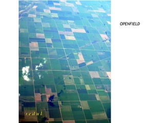 OPENFIELD
 