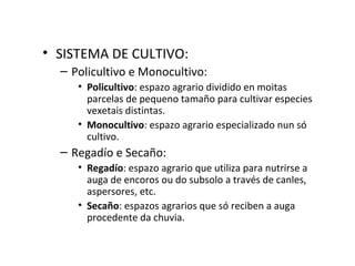• SISTEMA DE CULTIVO:
– Policultivo e Monocultivo:
• Policultivo: espazo agrario dividido en moitas
parcelas de pequeno tamaño para cultivar especies
vexetais distintas.
• Monocultivo: espazo agrario especializado nun só
cultivo.
– Regadío e Secaño:
• Regadío: espazo agrario que utiliza para nutrirse a
auga de encoros ou do subsolo a través de canles,
aspersores, etc.
• Secaño: espazos agrarios que só reciben a auga
procedente da chuvia.
 