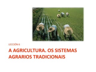 A AGRICULTURA. OS SISTEMAS
AGRARIOS TRADICIONAIS
LECCIÓN 6
 