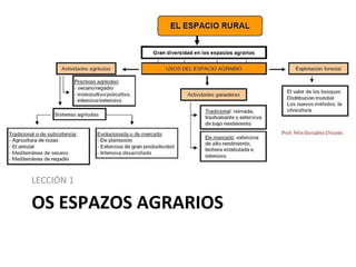 OS ESPAZOS AGRARIOS
LECCIÓN 1
 