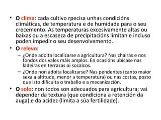 • O clima: cada cultivo rpecisa unhas condicións
climáticas, de temperatura e de humidade para o seu
crecemento. As temperaturas excesivamente altas ou
baixas ou a escaseza de precipitacións limitan e incluso
poden impedir o seu desenvolvemento.
• O relevo:
– ¿Onde adoita localizarse a agricultura? Nas chairas e nos
fondos dos vales máis amplos. En ocasións ubícase nas
ladeiras en terrazas oi socalcos.
– ¿Onde non adoita localizarse? Nas pendentes (canto maior
sexa a altitude, menor a temperatura) ou nas costas, posto
que isto dificulta o traballo e a mecanización.
• O solo: non todos son adecuados para agricultura; vai
depender da textura (que condiciona a retención da
auga) e da acidez (limita a súa fertilidade).
 