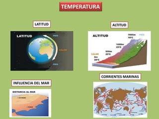 LATITUD ALTITUD
INFLUENCIA DEL MAR
CORRIENTES MARINAS
TEMPERATURA
 