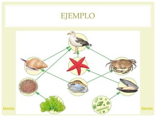 EJEMPLO
EjercicioEjercicio
 