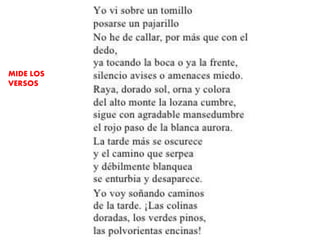 MIDE LOS
VERSOS
 