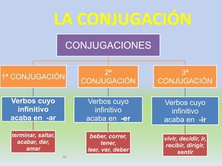 36
LA CONJUGACIÓN
CONJUGACIONES
1ª CONJUGACIÓN
Verbos cuyo
infinitivo
acaba en -ar
terminar, saltar,
acabar, dar,
amar
2ª
CONJUGACIÓN
Verbos cuyo
infinitivo
acaba en -er
beber, correr,
tener,
leer, ver, deber
3ª
CONJUGACIÓN
Verbos cuyo
infinitivo
acaba en -ir
vivir, decidir, ir,
recibir, dirigir,
sentir
 