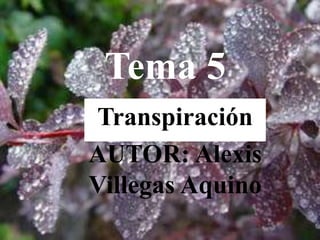 Tema 5
Transpiración
AUTOR: Alexis
Villegas Aquino
 