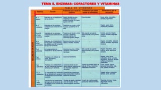 TEMA 5. ENZIMAS: COFACTORES Y VITAMINAS
 