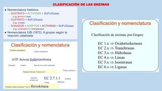 CLASIFICACIÓN DE LAS ENZIMAS
 
