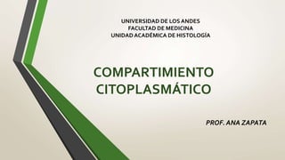 COMPARTIMIENTO
CITOPLASMÁTICO
PROF. ANA ZAPATA
UNIVERSIDAD DE LOS ANDES
FACULTAD DE MEDICINA
UNIDADACADÉMICA DE HISTOLOGÍA
 